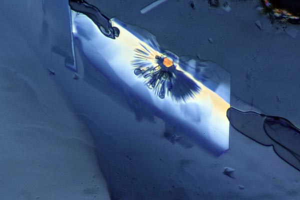 40x Hoffman Modulation Contrast with polarization stack with Zerene Stacker PMax stack of 7 images.  These are of ammonium thiosulphate crystals, slowly grown from dilute Ilford Rapid Fixer (for analog photography) under a cover slip.